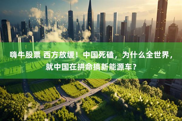 嗨牛股票 西方放缓！中国死磕，为什么全世界，就中国在拼命搞新能源车？